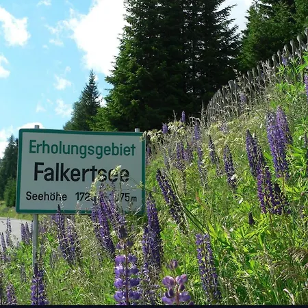 Alpesi faház Luxus An Der Piste Und Am Falkertsee,panorama Und Bergblick 11 Gaeste Falkert