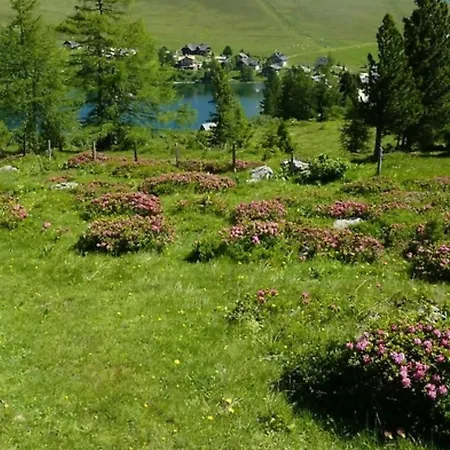 Luxus An Der Piste Und Am Falkertsee,panorama Und Bergblick 11 Gaeste *