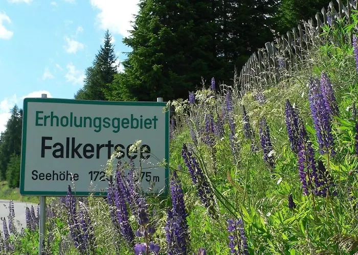 木屋 Falkertsee, Panorama Pistenlage-und Am Bis 11 Personen Falkert