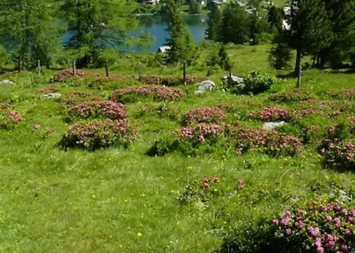 Falkertsee, Panorama Pistenlage-und Am Bis 11 Personen *